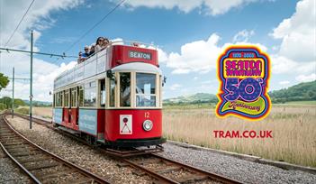 50th Anniversary Tram Line Up!