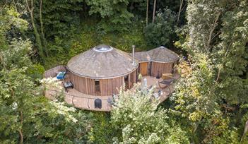 Wood-cladded treehouse sitting amongst the tree canopy