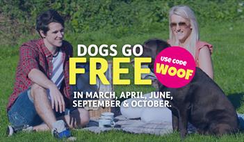 Dogs Stay FREE at Beverley Holidays