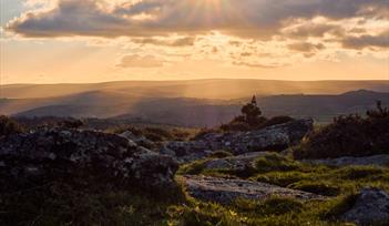 Dartmoor Sunlight