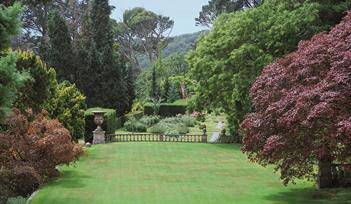 Thorn Garden Public Open Day