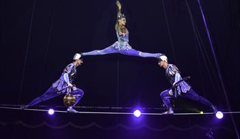 Moscow state Circus