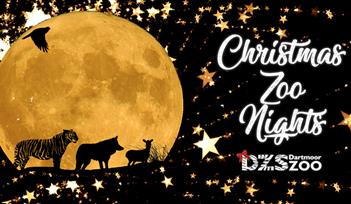 Christmas Zoo Nights
