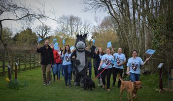 People enjoying Dawdle for Donkeys