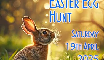 The Great Dawlish Easter Egg Hunt