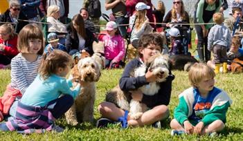 Family Dog Show at The Donkey Sanctuary, Devon