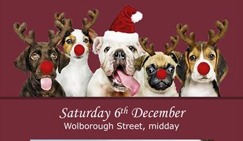 The Dog Friendly Christmas Carol Service