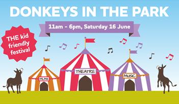 Donkeys in the Park - THE kid friendly festival