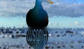 The Duck