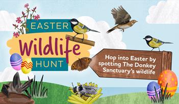 illustrated wildlife with coloured easter eggs set on green hills