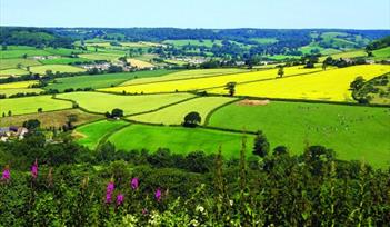 East Devon countryside in the sun