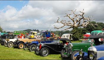 Powderham Castle - Historic Vehicle Gathering