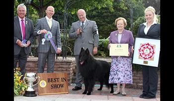 Westpoint - Paignton Championship Dog Show