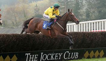 Come along and enjoy a superb day of racing, as Exeter Racecourse supports the Armed Forces on Sunday, February 9.