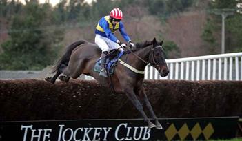 Enjoy a great afternoon of racing, followed by an entertaining hour with the UK's top trainers.