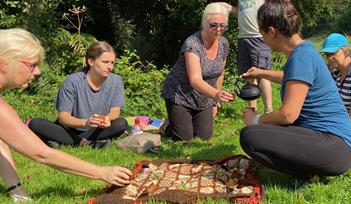 Forest Bathing at Dittiscombe Estate