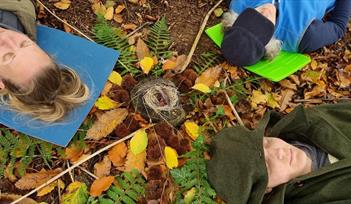 Forest Bathing at Dittiscombe Estate