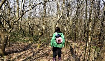 Forest Bathing - Reconnecting with Nature from the Inside Out