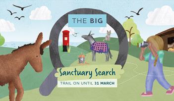 illustrated donkeys in magnifying glass