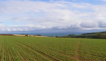 Fields and the Sea from Coleridge Cross