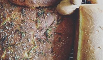 Riverford Field Kitchen Bread Making Workshop