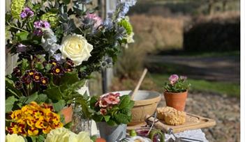 Manaton Plant Sale