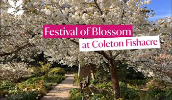 Festival of Blossom at Coleton Fishacre