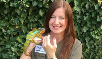 Frazoo Chameleon