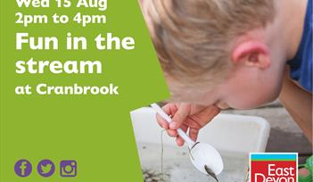 Fun in the stream at Cranbrook 15 August