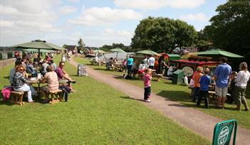 Groups of people sitting at picnic benches on the grass near the Grand Western Canal