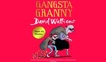 David Walliam's Gangsta Granny at Devonport Park, Plymouth