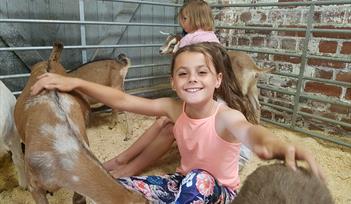 Goat Yoga