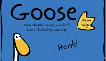 Goose: Live on Stage