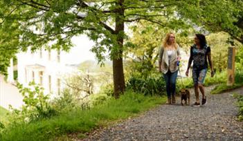 Walking at Greenway