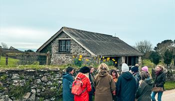foraging for apples