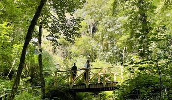 Guided Walks By Canonteign Falls