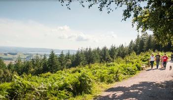 Haldon Forest Park - Forestry Commission - walking with view