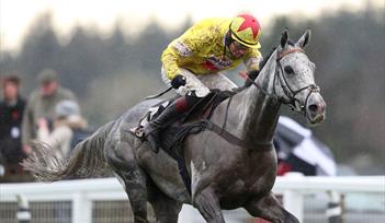 Haldon Gold Cup race