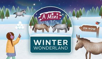 A Mini Winter Wonderland Trail