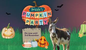 Drizzle the donkey with illustrated halloween items