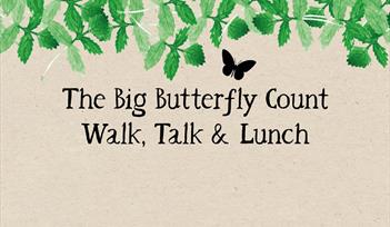 The Big Butterfly Count, walk, talk & lunch