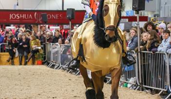 Westcountry Equine Fair