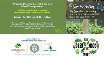 Holistic approaches to growing Native trees from seeds in a woodland