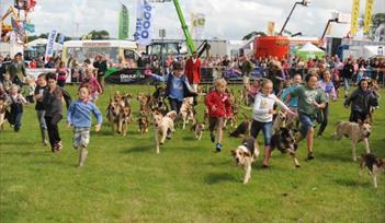 Honiton Show