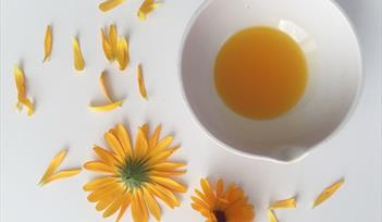 Botanical Alchemy - Natural Skin Care & Aromatherapy Weekend Course