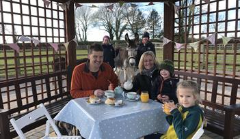 Tea in the Paddock
