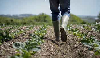 Field to Fork Farm Tour
