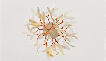 Exhibition: Jerwood Makers Open