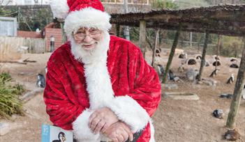 Breakfast with Santa at Living Coasts