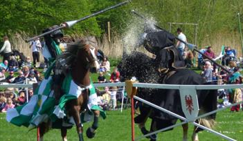 Jousting with the Knights of Albion